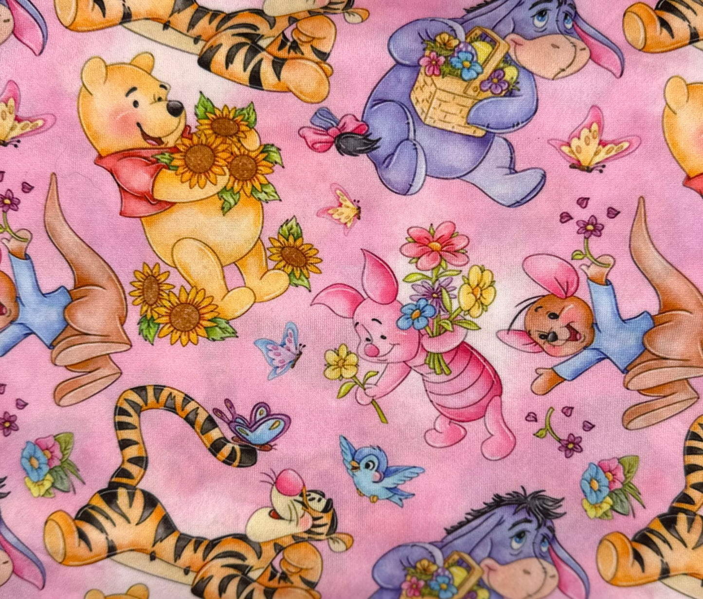 Pooh & Friends-D1