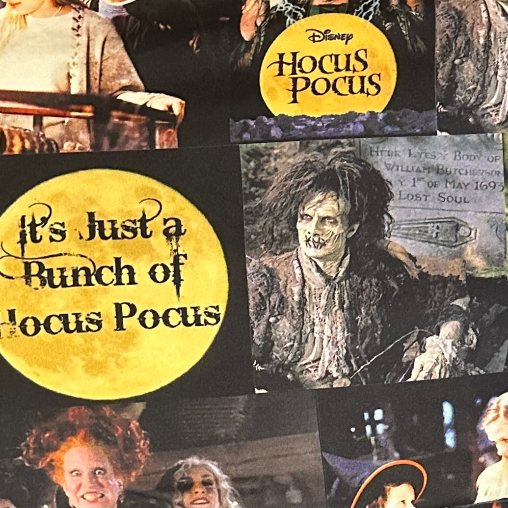 Hocus Movie-B3