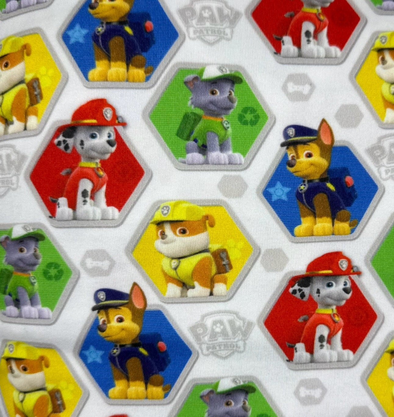 C113-Paw Patrol