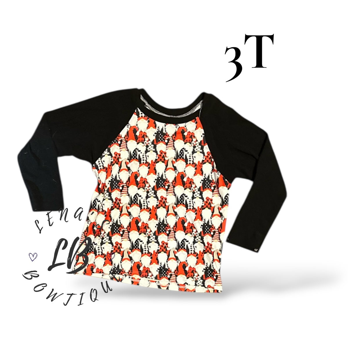 3T Raglan-Gnomes
