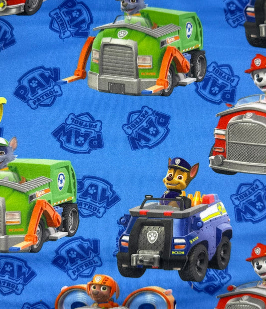 C1-Paw Patrol